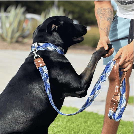 Abismo Sereno Handcrafted Dog Leash and Collar Match