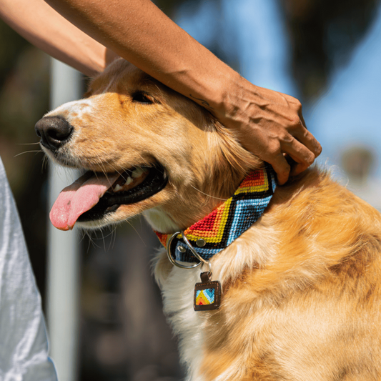 Armonia Astral Handcrafted Dog Collar From Mexico