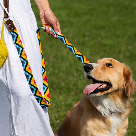 Armonia Astral Handcrafted Dog Leashe Made in Mexico
