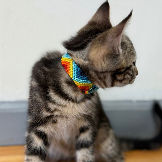 Armonia Astral Handmade Cat Collar from Mexico