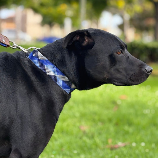 Blue Handmade Dog Collar
