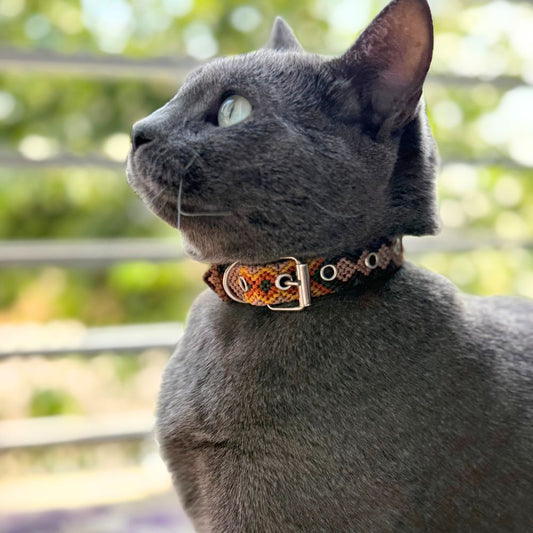 Cute Handmade Cat Collar Made in Mexico