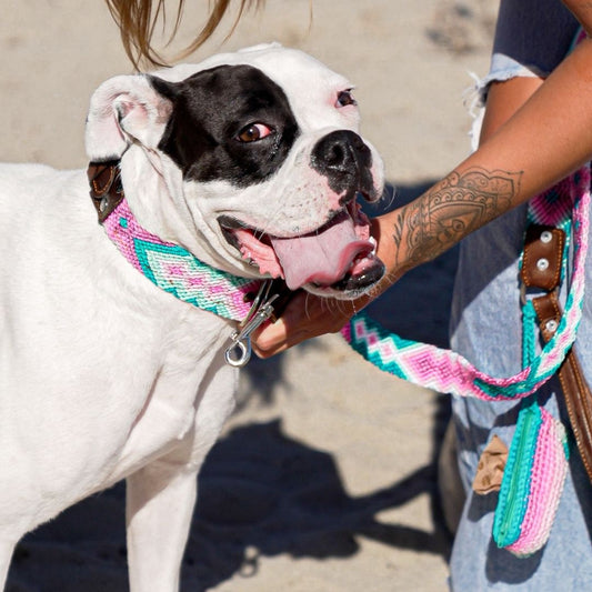 Dulce Malicia Handcrafted Dog Collar and Leash Set