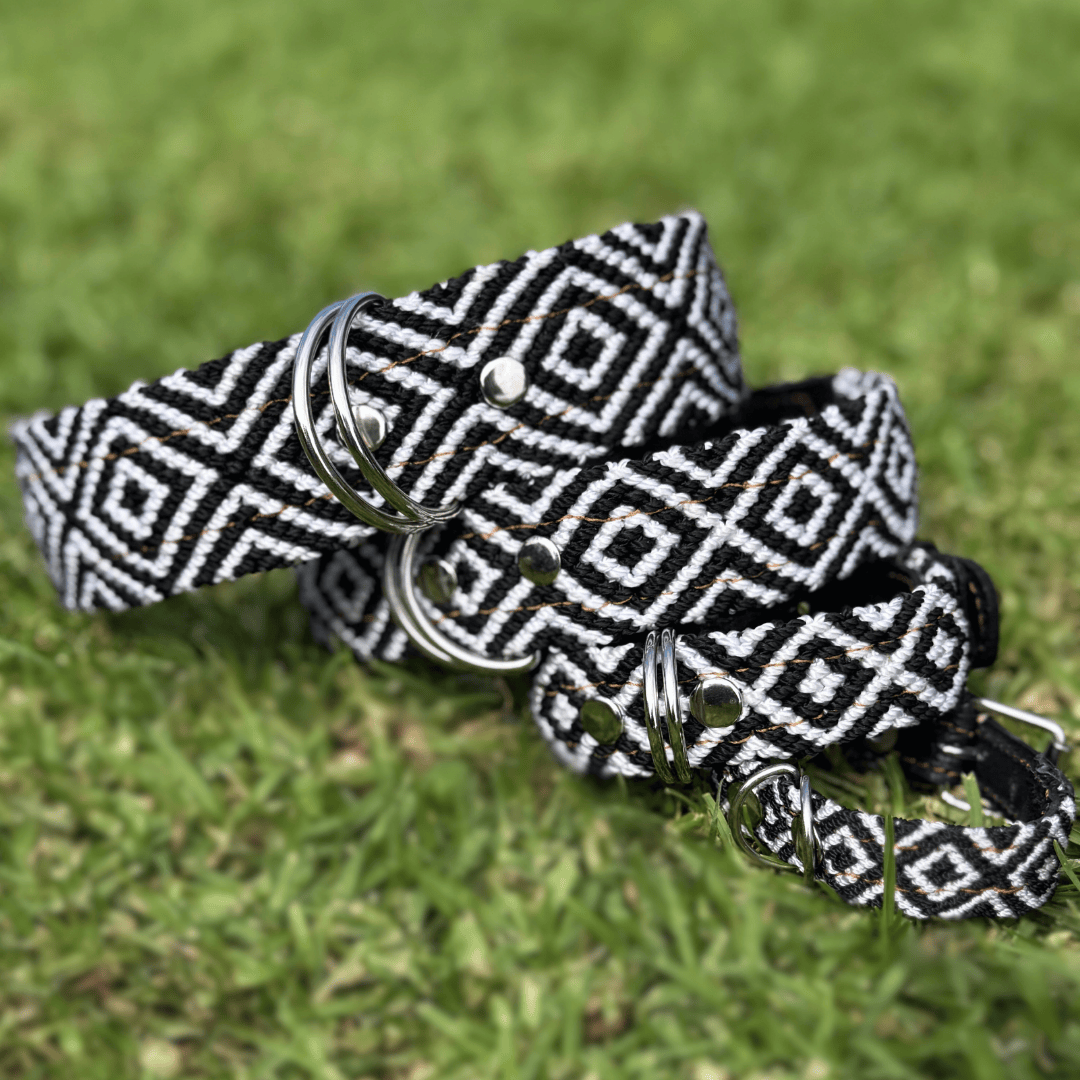 Equilibrio Equinox Handcrafted Dog Collars from Mexico
