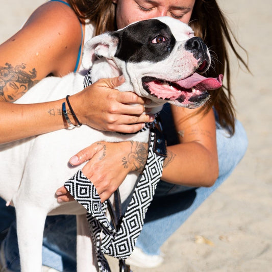 Equilibrio Equinox Handcrafted Dog Leash Black and White