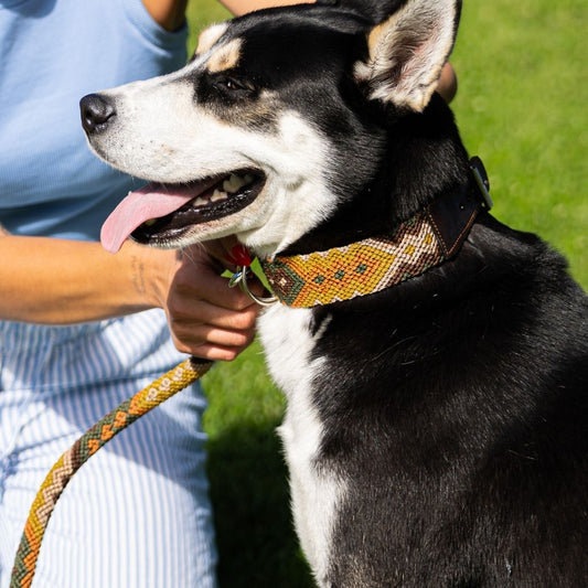 Esencia Salvaje Handcrafted Dog Collar and Leash Set