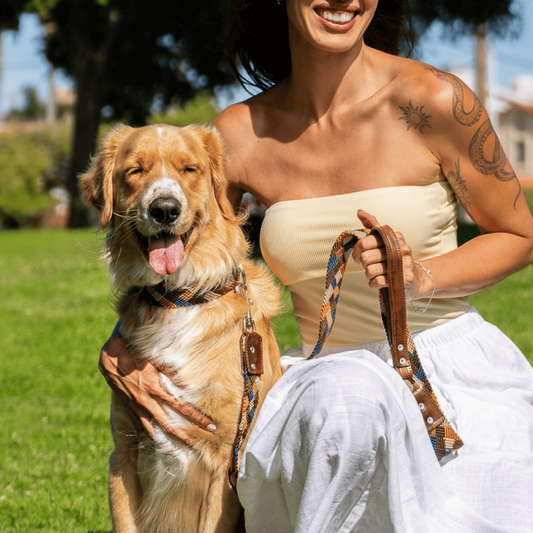 Eterno Arcano Handcrafted Dog Collar Made in Mexico