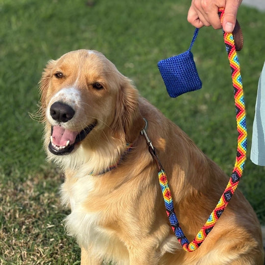 Euforia Gaia Handcrafted Dog Collar Leash and Poop Bag Holder