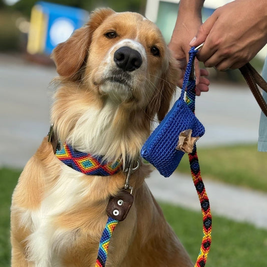 Euforia Gaia Handcrafted Dog Walk Set