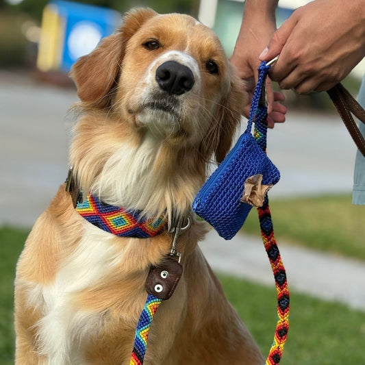 Handmade Dog Leash Collar and Waste Bag Holder Set