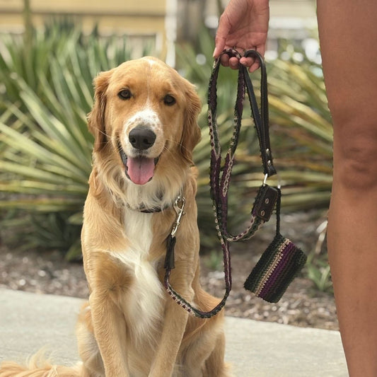 Instinto Feroz Handcrafted Dog Walking Set