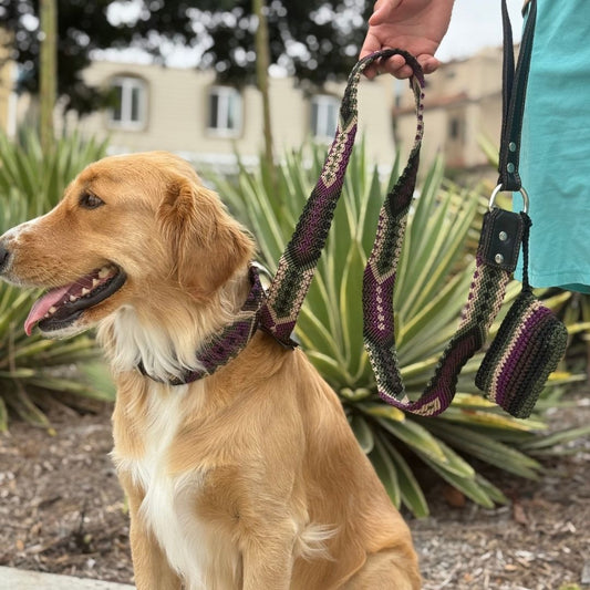 Instinto Feroz Handmade Dog Collar and Dog Leash