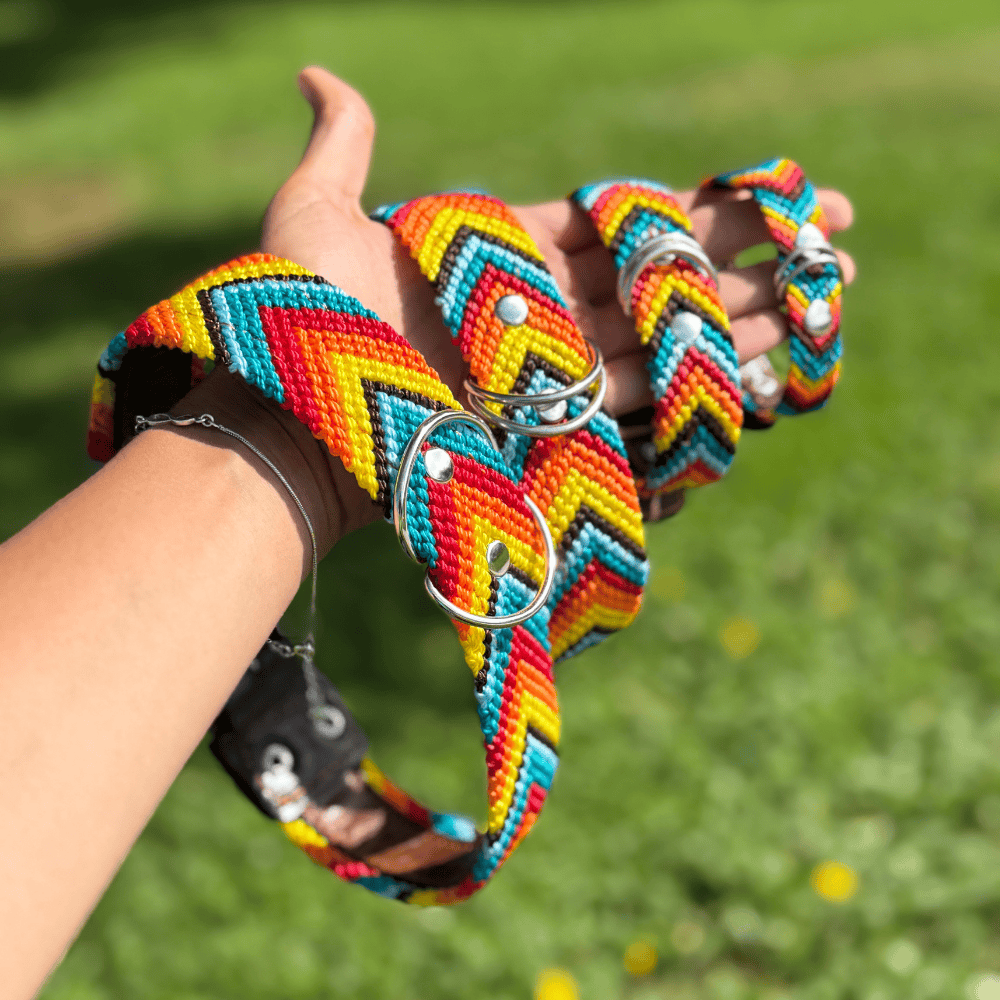 Prisma Intensa Handcrafted Dog Collar Sizes