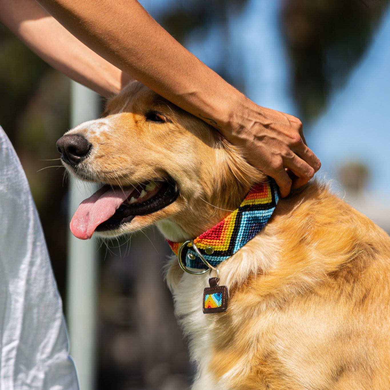 Solemoon Handcrafted Pet Accessories
