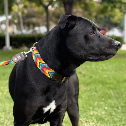 Prisma Intensa Handcrafted Dog Collar