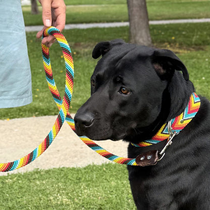 Prisma Intensa Handcrafted Dog Collar