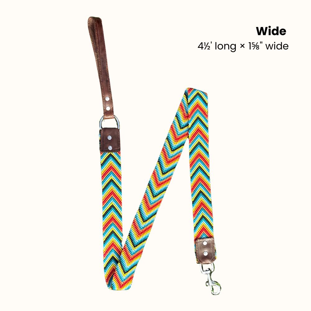 Prisma Intensa Handcrafted Dog Leash