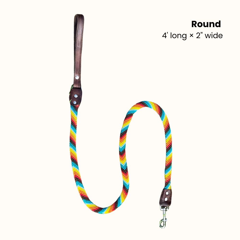 Prisma Intensa Handcrafted Dog Leash