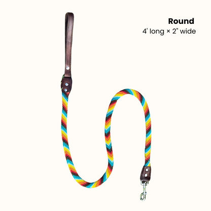 Prisma Intensa Handcrafted Dog Leash