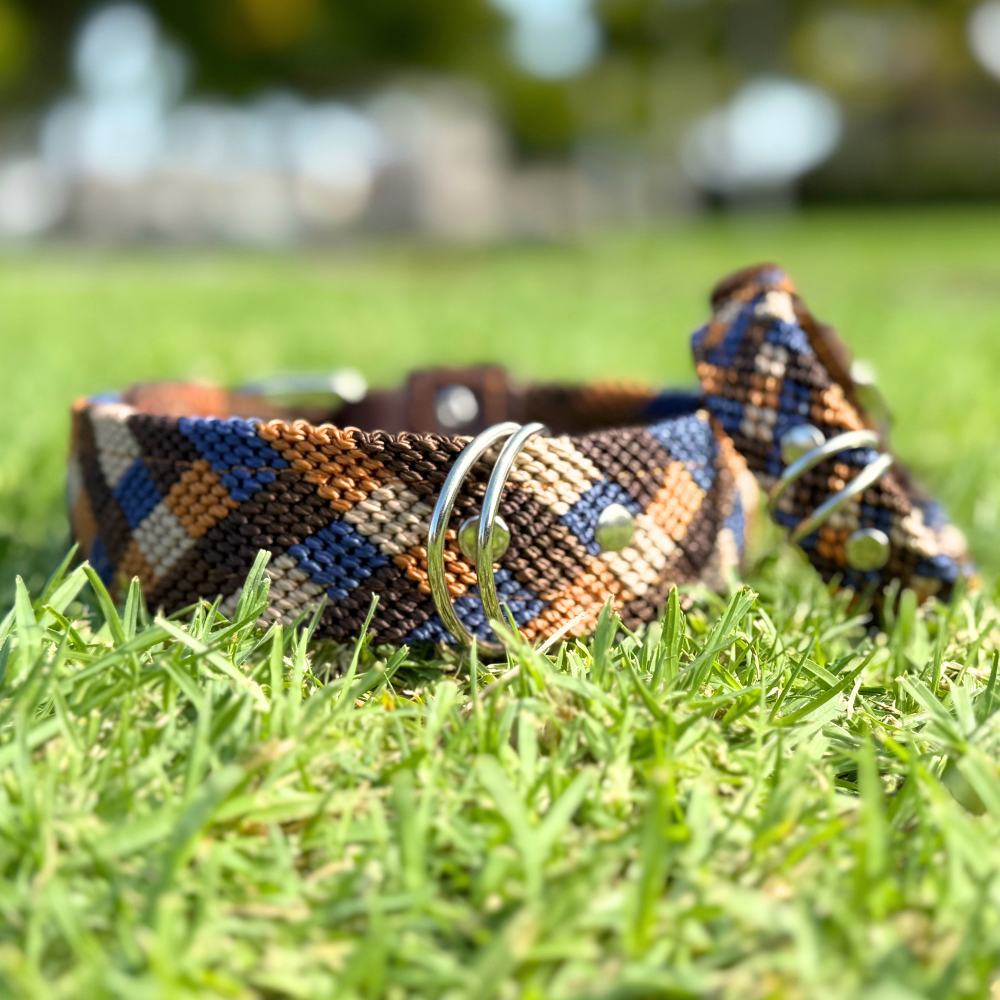 Eterno Arcano Handcrafted Dog Collar