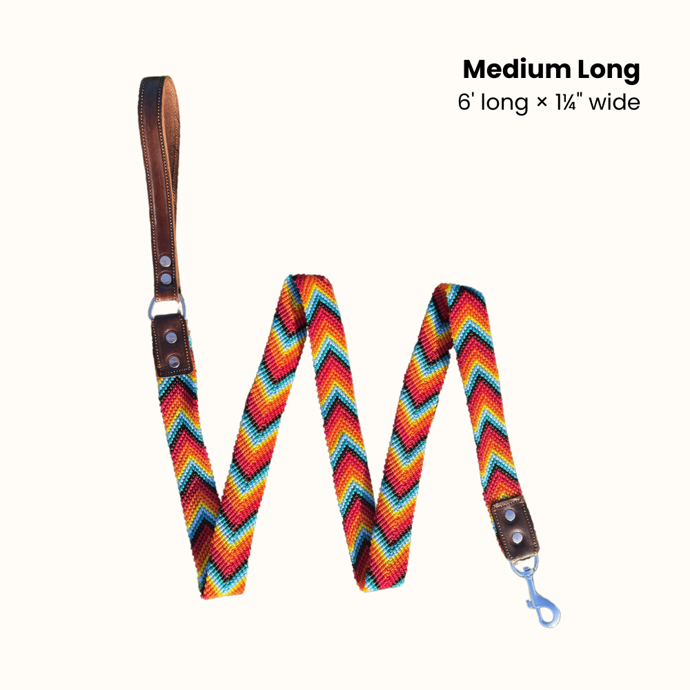 Prisma Intensa Handcrafted Dog Leash