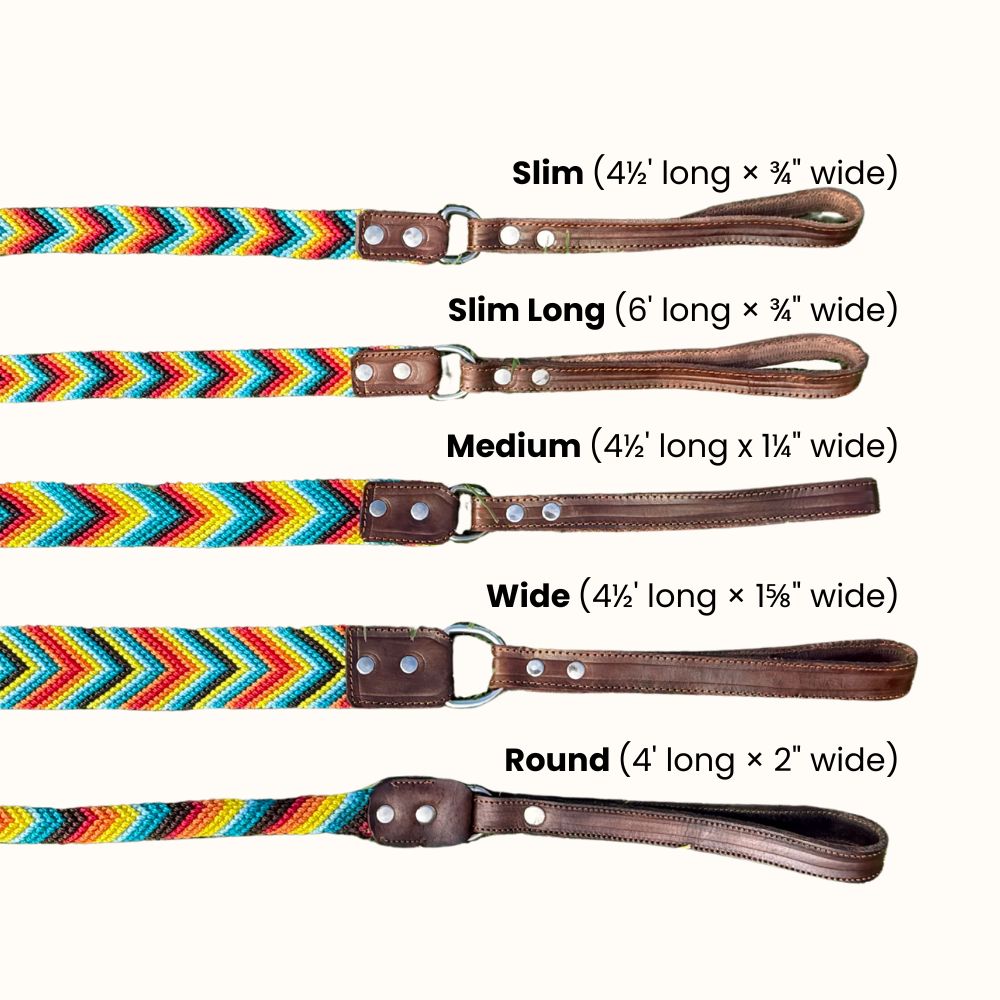 Prisma Intensa Handcrafted Dog Leash