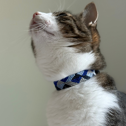 Abismo Sereno Handcrafted Cat Collar from Mexico