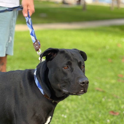 Abismo Sereno Handcrafted Dog Collar and Leash Set