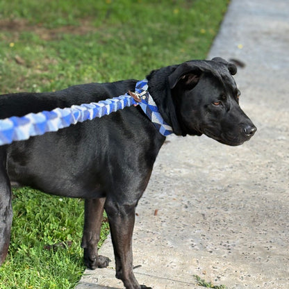 Abismo Sereno Handcrafted Dog Collar and Wide Leash Set