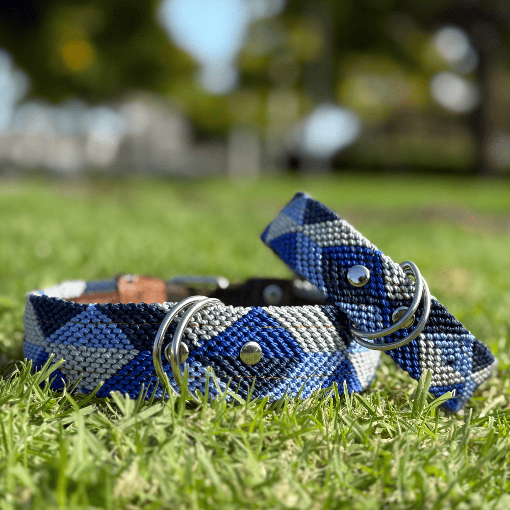 Abismo Sereno Handcrafted Dog Collars