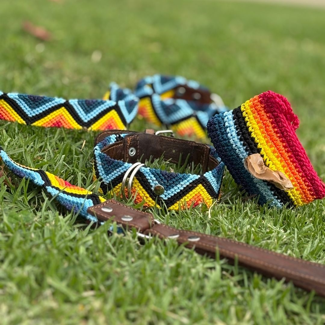 Armonia AstralHandmade Dog Walking Set
