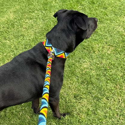 Armonia Astral Handcrafted Dog Walk Set Round Leash