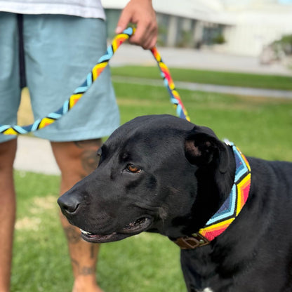 Armonia Astral Handcrafted Dog Walking Set