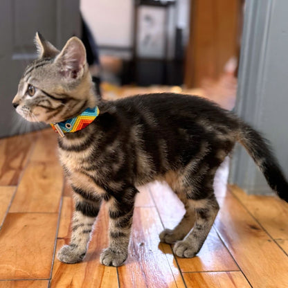Armonia Astral Handwoven Cat Collar