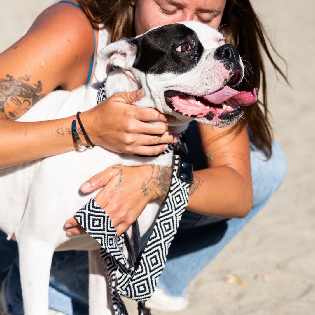 Black and White Handcrafted Dog Collar and Leash Set