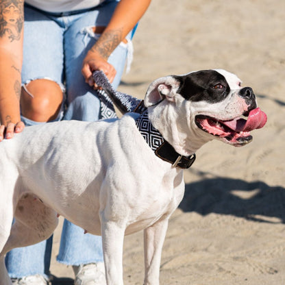 Black and White Handwoven Dog Collar and Leash Set