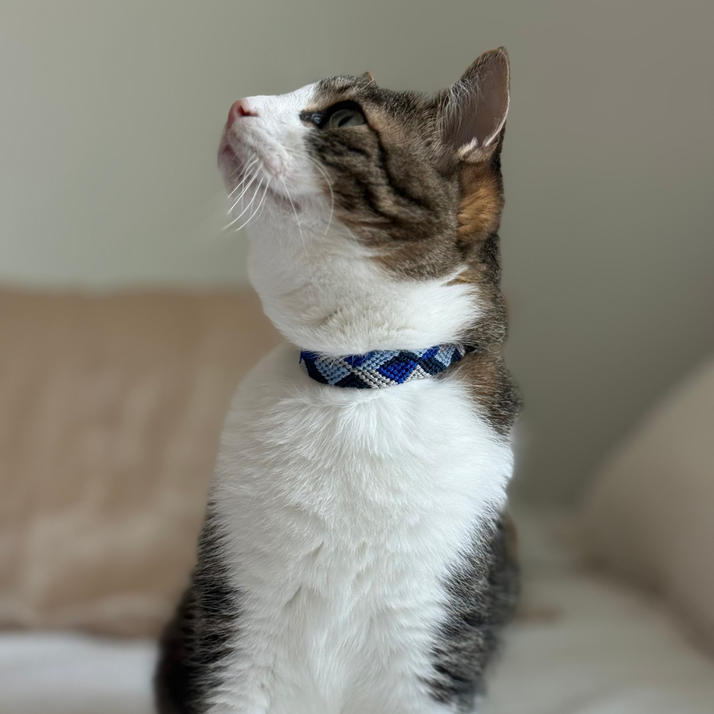 Blue Handcrafted Cat Collar