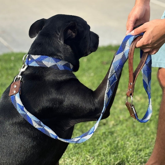 Blue Handmade Dog Walk Set