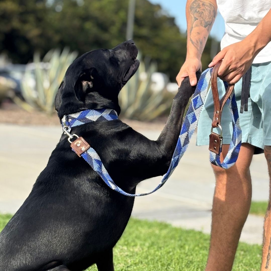 Blue Handwoven Dog Collar and Leash Set