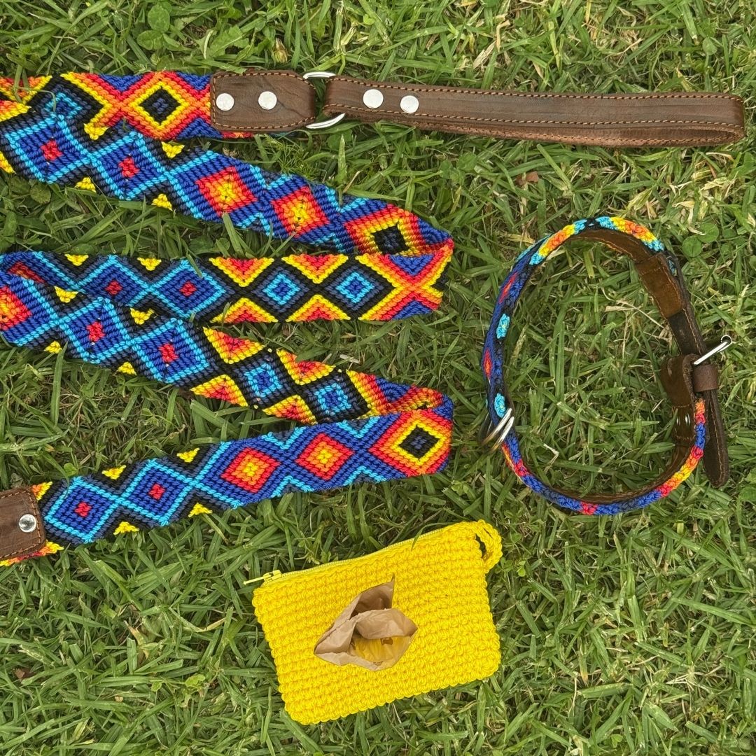 Colorful Dog Collar Leash and Poop Bag Set