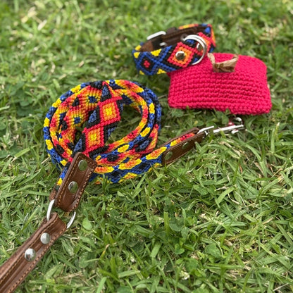 Colorful Dog Collar Leash and Waste Bag Set