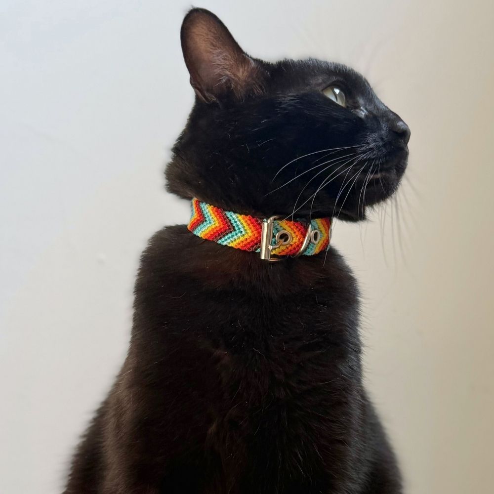 Colorful Handmade Cat Collars made in Mexico