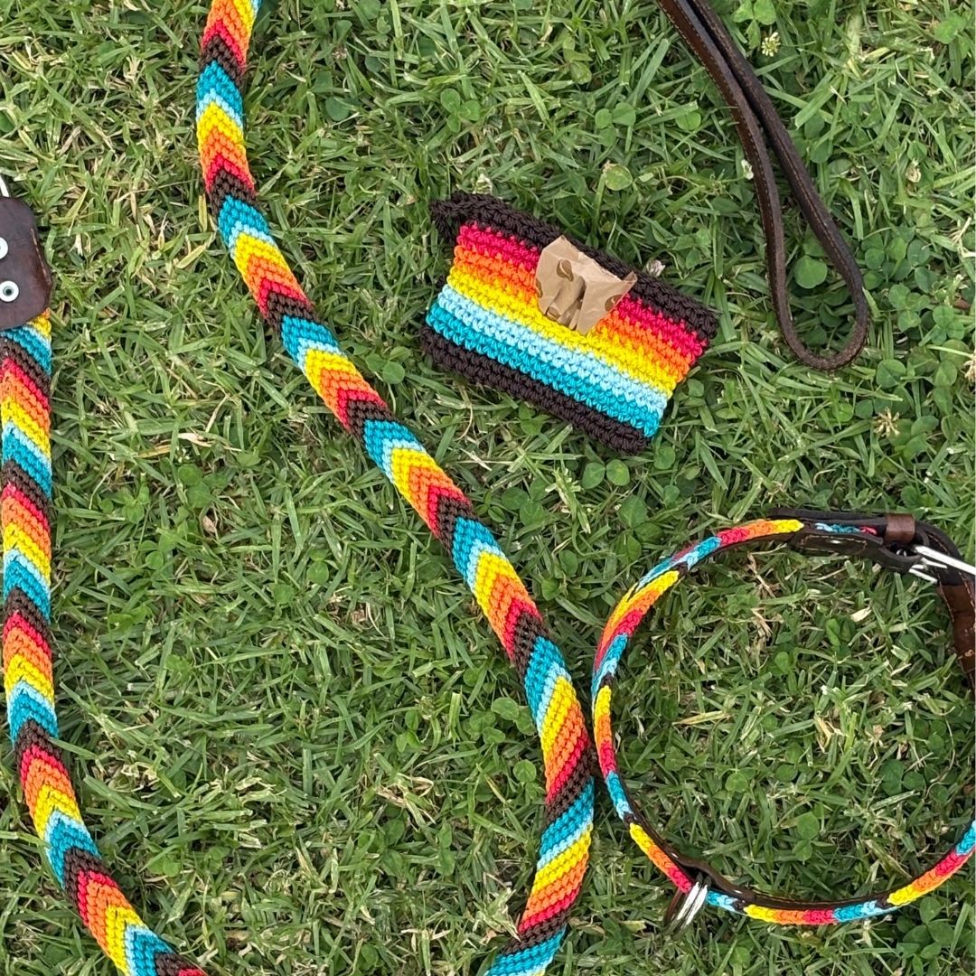 Colorful Handmade Dog Collar and Leash Set