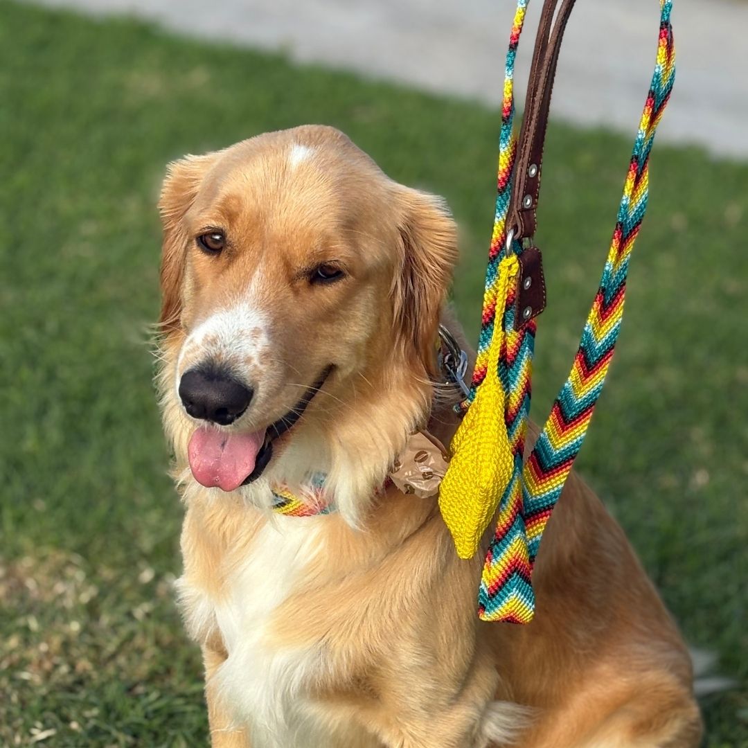 Colorful Handwoven Dog Collar and Leash Set