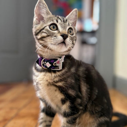 Cute Handwoven Cat Collars for Little Cats