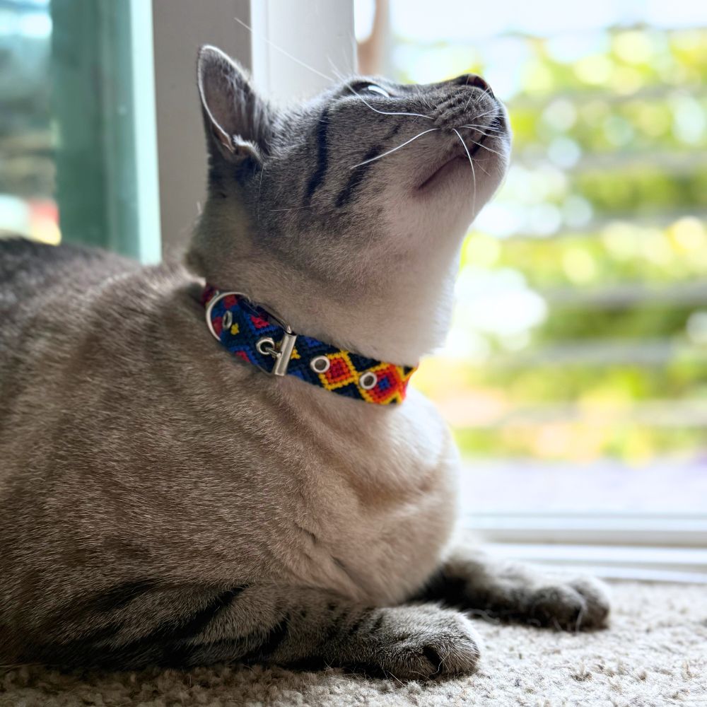 Diamond Handwoven Cat Collars made in Mexico