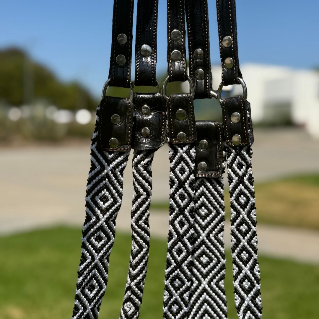 Equilibrio Equinox Handcrafted Dog Leashes
