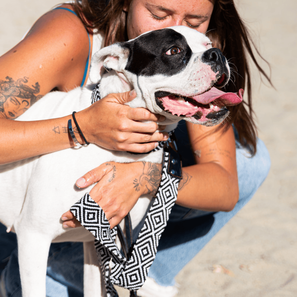 Equilibrio Equinox Handwoven Dog Collar From Mexico