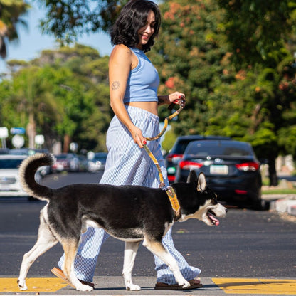 Esencia Salvaje Dog Walking Set