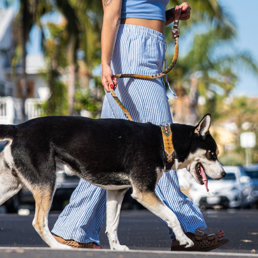 Esencia Salvaje Handcrafted Dog Leash and Collar Set